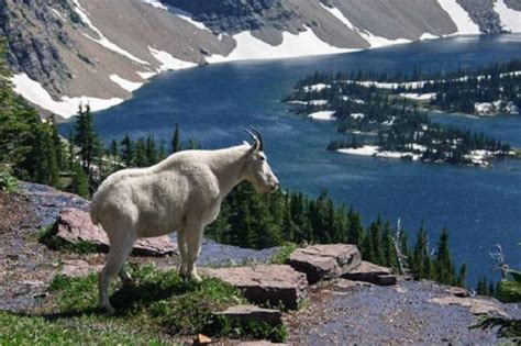 Check spelling or type a new query. Idaho National Parks and State Picture Gallery