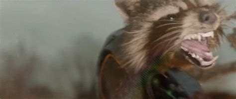 The best gifs are on giphy. Le plus récent pour Rocket Raccoon Shooting Gif - Abdofolio