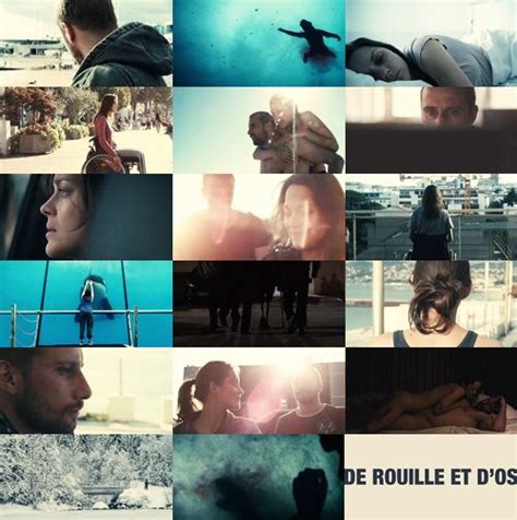 Penniless and without friends, he leaves the north of france to. de rouille et d'os | Cinema photography, Love film, Filmmaking