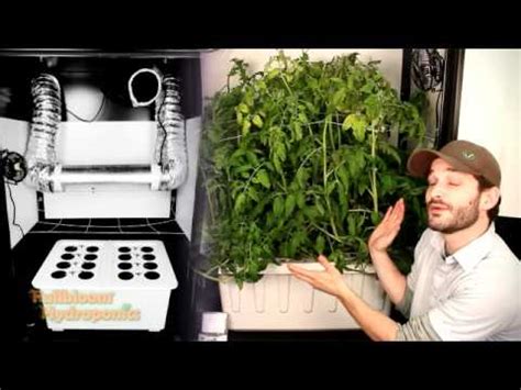 We did not find results for: Super Closet Deluxe Grow Cabinet - YouTube