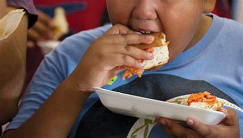 Obesity is affected more and more people both directly and indirectly. Researchers: Obesity among Asia-Pacific kids a growing ...