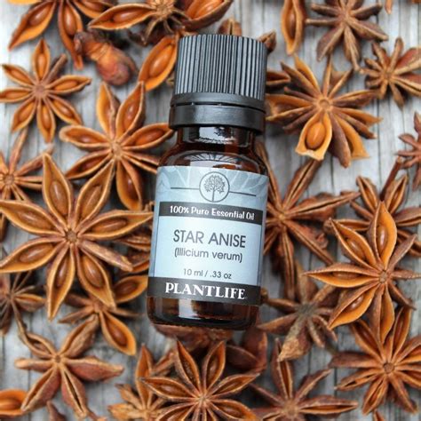 Star anise is an unusual fruit which mainly used in international dishes, especially thai ice tea and some chinese soups and other items. Star Anise essential oil has a unique and alluring aroma ...