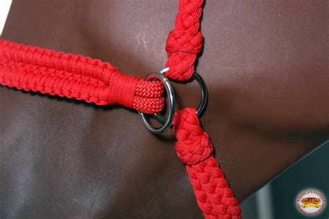 Today's video shows you how to make the seamless flat braid paracord bracelet! Hilason Flat Braided Paracord Horse Headstall Bridle W/ Crystals U-1-VX | eBay