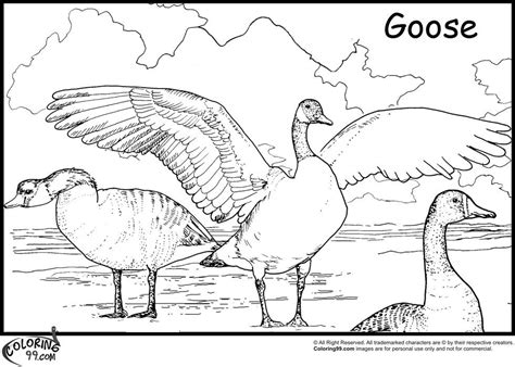 Related post to mother goose coloring pages free printable. Baby Goose Coloring Page - Coloring Home