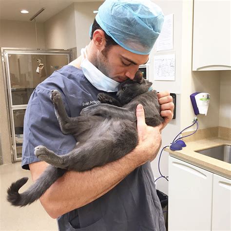 Our las vegas cat hospital: Looking For A Job? This Company Will Pay You For Cuddling ...
