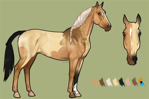 Buckskins can vary in shade from very pale buttermilk through a very sooty, dark brown color. View topic - Sooty Dunalino Buttermilk Buckskin Appaloosa ...