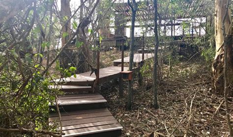 Fern gully forest cabins knysna's best boards. Fern Gully Forest Cabins in Rheenendal, Knysna — Best ...