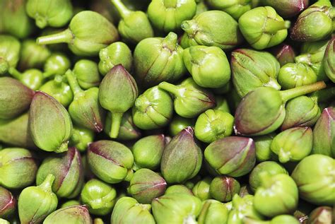 Here's Everything You Need To Know About Capers