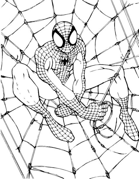 Gambar is content that is not text book which can serve as the content of the book especially in childrens books as well as explanatory text content in the book. Mewarnai Gambar Spiderman Hitam Putih | Mewarnai cerita ...