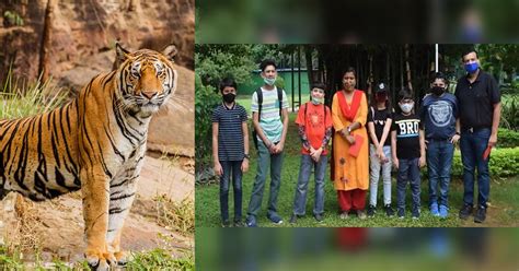 Check spelling or type a new query. 12-Year-Old Boy Gets A Unique Birthday Gift; Adopts Tiger ...