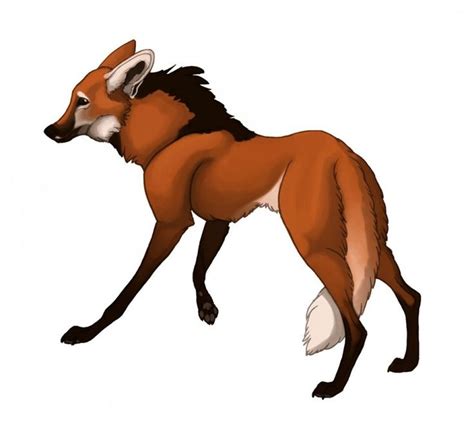1000 x 890 jpeg 208 кб. cartoon drawings of wolves - Google Search | Lobo guará, Lobo