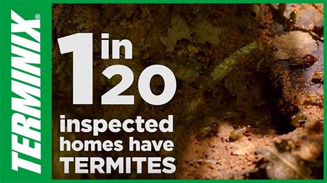 And it's certainly a strong aspect to ponder. Did you know about 1 in 20 inspected homes will have ...