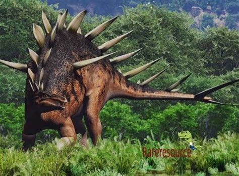 It was subsequently named kentrosaurus later that year—a name which means spiked lizard. kentrosaurus was a large herbivore that was approximately 17 feet long, from snout to tail. The Kentrosaurus ('pointed lizard')is an armored Stegosaur ...