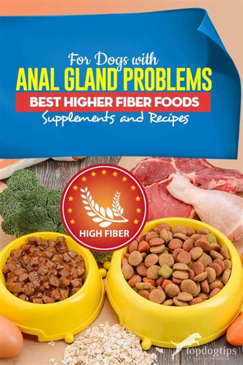 Steam the vegetables and chopped finely. Best High Fiber Dog Food Anal Gland Problems, Supplements ...