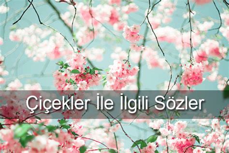 Her konuda sözlerin yer aldığı bu güzel sözler sitesinde şimdi de sizlere en güzel çiçek sözleri hazır ettik. Çiçek Sözleri, Çiçekler İle İlgili Sözler | Yok Böyle Sözler