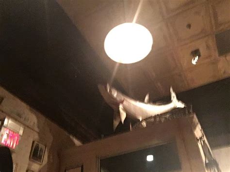 Maybe you would like to learn more about one of these? Louie's Oyster Bar & Grille, Port Washington - Restaurant ...