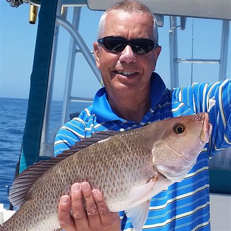 The mangrove snapper is found in the western atlantic ocean from massachusetts to bermuda, southward to brazil, including bermuda, bahamas, west indies, gulf of mexico and. tampa bay fishing Archives - Anna Maria Sportfishing