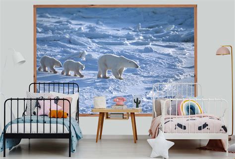 Il a ajouté une image d'ours polaire sur une image de plage. Murale en Papier Peint Ours Polaires | Muralunique