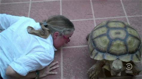 Naughtiness cums out of wifey. Turtle jizz : gifs