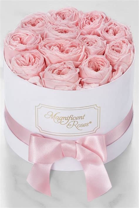 Flowers and candy delivery for mother's day. Magnificent Roses® Preserved Pink Garden Roses | Pink ...