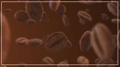 Chlorogenic acids are the reason why coffee is said to have protective effects against alzheimer's, parkinson's, and dementia. Coffee Beans Animation in Element 3D After Effects Tutorial - YouTube