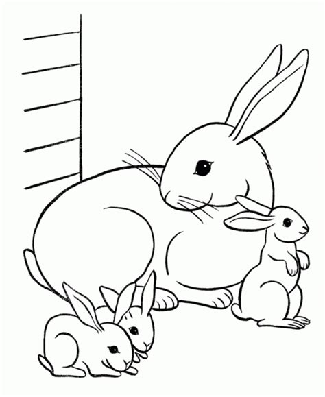 Farm animal coloring pages | mother hen sitting on her nest coloring. Free Free Printable Coloring Pages Baby Animals, Download ...