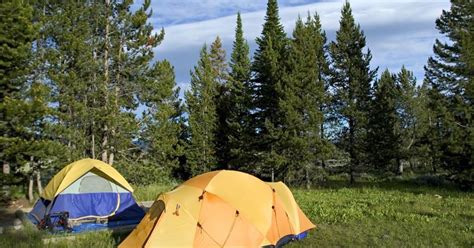 Make sure you will fit before you travel. Campgrounds at the East Entrance to Yellowstone Park ...