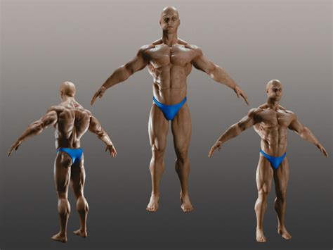 Free to use anywhere, for any purpose. Male Bodybuilder A 3D model | CGTrader