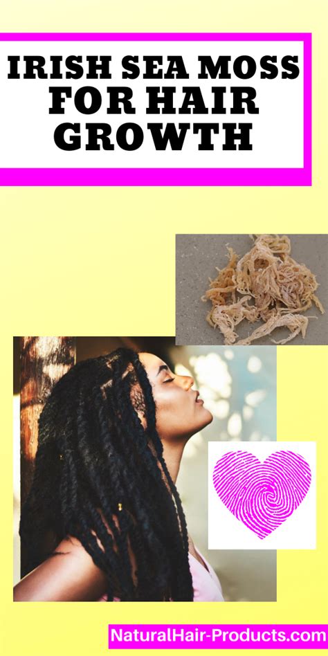 Irish sea moss or irish moss is an edible seaweed (red algae) that has been used commercially in many cosmetic formulations. Irish Sea Moss for Hair Growth Products [Get Scalp Health ...