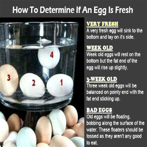 Sep 28, 2017 · according to the national pecan shellers association, adding a handful of pecan nuts in your diet helps decrease ldl i.e. How to determine if an egg is fresh | Eggs good or bad ...