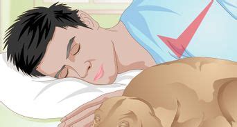 Everyone has heard horror stories about parents kept awake all night by an unhappy baby. How to Get Your Dog to Sleep: 8 Steps (with Pictures ...