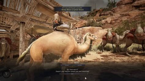 Chat group is a newly added function within black desert online where you can discuss various topics with fellow adventurers. How to Get a Camel in BDO doing a quest - YouTube