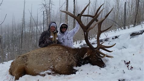 Pay utah state taxes with credit card. 2020 Utah Statewide Bull Elk Conservation Permit