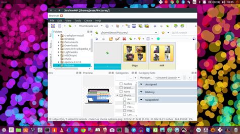 Xnview is a free software for windows that allows you to view, resize and edit your photos. XnView is a Full-featured Image Manipulation and Batch ...