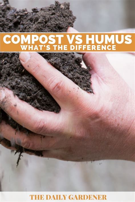 Sphagnum peat moss and coconut coir are both great soil additions. Compost VS Humus: What's the Difference?