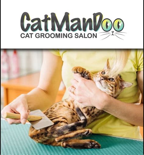 All cat grooming and nail trimming is suspended until there is a vaccine. Denver Cat Groomers | Cat Groomers Near Me | Catmandoo Cat ...