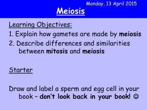 Some of the worksheets for this concept are meiosis matching work, meiosis and mitosis answers work, snurfle meiosis answer key pdf pdf full ebook by hollis alice, answer key for meiosis work, 013368718x ch11 159 178, meiosis virtual lab answer key, biology 1 work i selected answers, doc. Snurfle Meiosis and Genetics 2 Worksheet