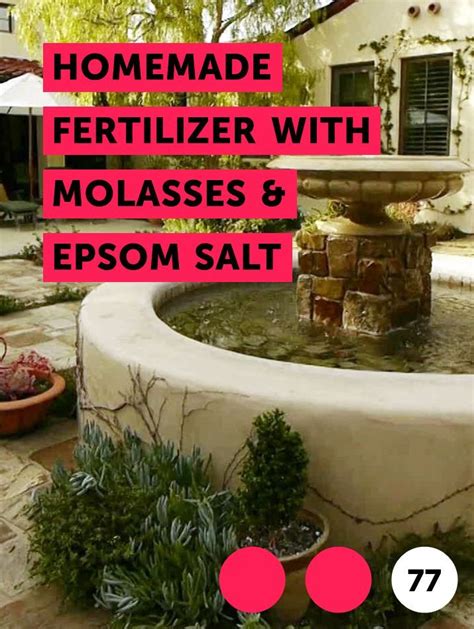 It will create healthier, greener, bushier houseplants only if your houseplants are deficient in magnesium or sulfate. Homemade Fertilizer With Molasses & Epsom Salt | Plants ...