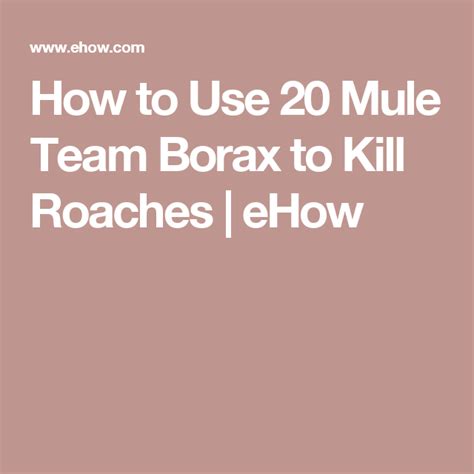 Usually mixed with something sweet to produce a boric acid bait (more details on that later). How to Use 20 Mule Team Borax to Kill Roaches | Kill ...