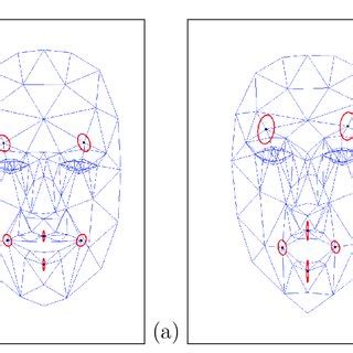 El análisis de documentos, es la forma en que estudiamos, comprendemos y adquirimos información relevante sobre un tema en especifico. (PDF) Statistical analysis of human facial expressions