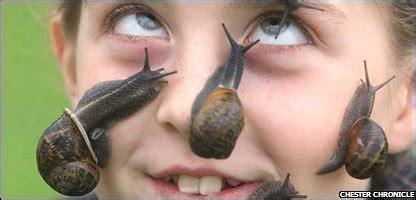 Don't kiss the prince, or he might change ___ a frog. CBBC Newsround | Animals | Girl breaks snail on face record