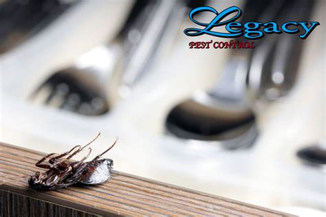 But taking certain precautions, such as carefully inspecting apartment complexes are among the toughest structures for pest control. 4 Reasons to Choose Legacy for Restaurant Pest Control ...