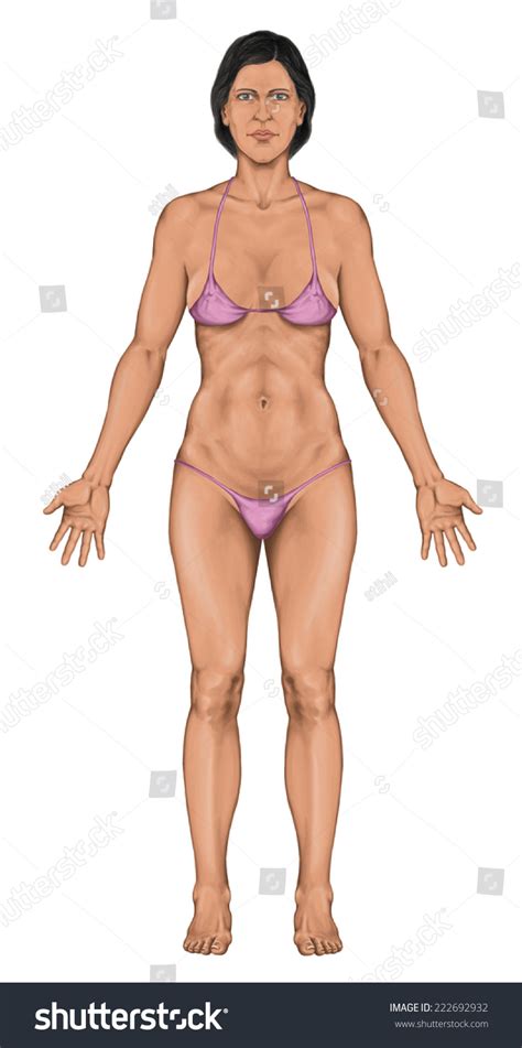 1,129 best human body free video clip downloads from the videezy community. Woman, Women, Female Anatomical Body, Surface Anatomy ...