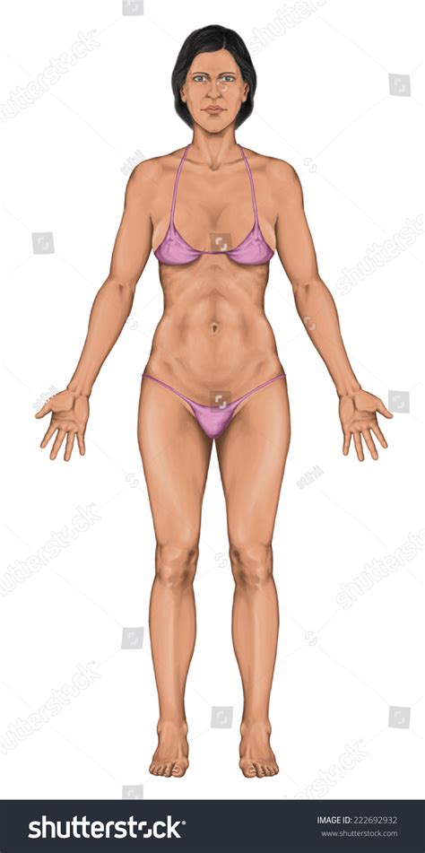 This diagram depicts picture of the female body 744×992 with parts and labels. Woman, Women, Female Anatomical Body, Surface Anatomy ...