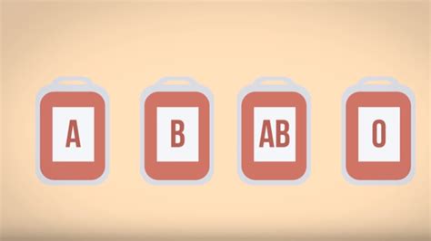 So there are many that do different things. Why Do We Have Different Types of Blood? (Ft. Blood 4 Life)