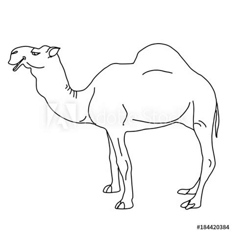 How to draw a camel. Camel Drawing at PaintingValley.com | Explore collection ...