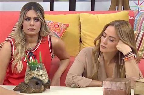 Paco de miguel, edad, cuántos años tiene, por qué es tendencia. VIDEO: Paco de Miguel explota contra Galilea Montijo por ...