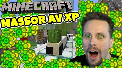 Amount of ticks required for the cactus. MASSOR AV XP MED ZERO-TICK-CACTUS-FARM I MINECRAFT | Lets ...