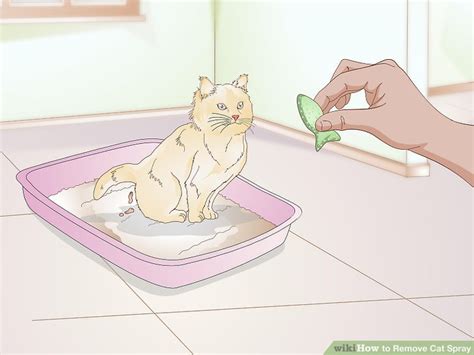 It can irritate cats and dogs respiratory system!i hope this was helpful! 4 Ways to Remove Cat Spray - wikiHow