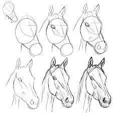 Begin met stap 1 en ga vervolgens naar stap 2, 3 en 4. Image result for paarden tekenen stap voor stap | Dieren ...